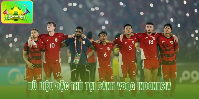 Hình minh họa bóng đá Indonesia 2