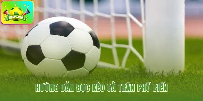 Tìm hiểu ba loại kèo cả trận Chấp Tài Xỉu và 1X2
